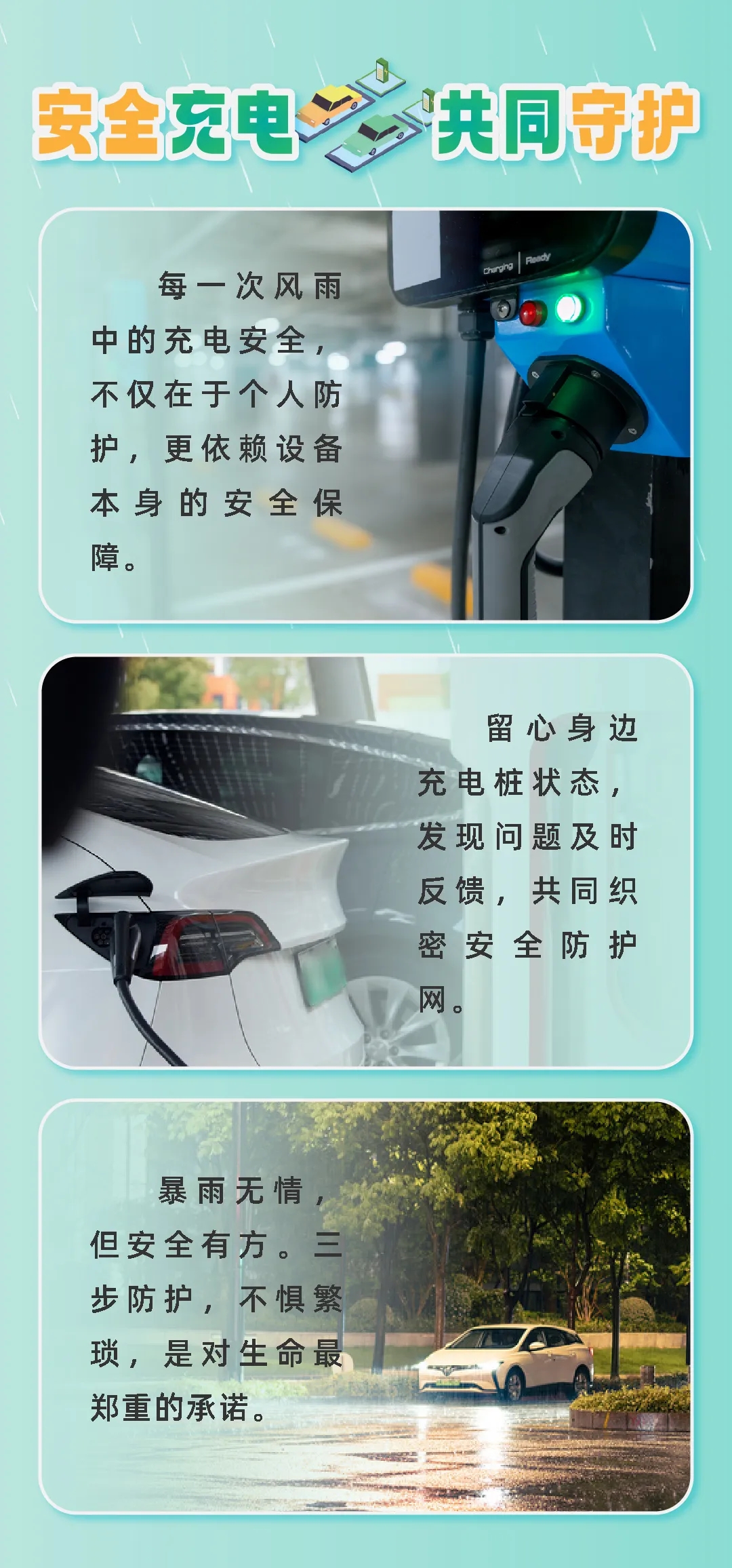 1762409245595324.jpg 6.jpg